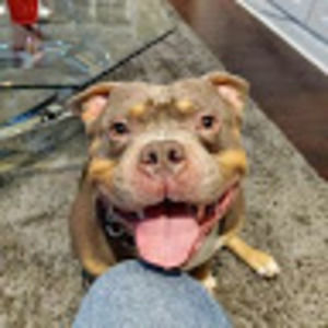 Meet your Posher, Jesse